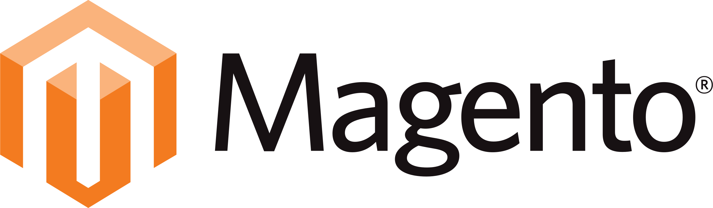Magento logo software development